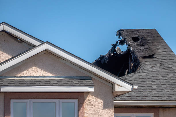Top rated local Odor Removal specialists in Princeton, MN